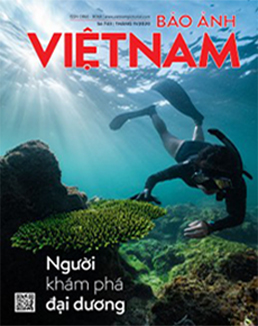 vietnam tourism statistics 2019